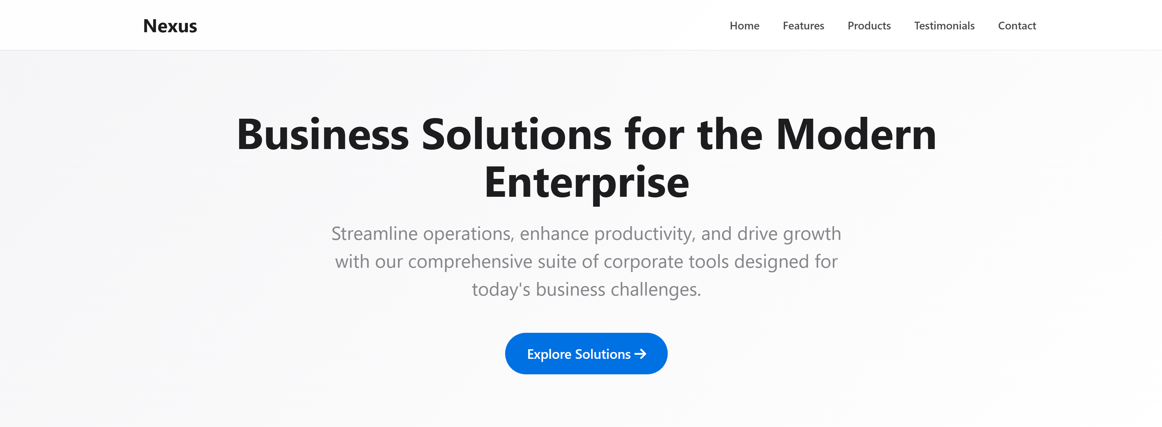 Professional Business Website